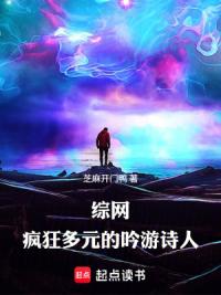 综网：疯狂多元的吟游诗人